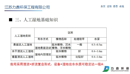 人工濕地基礎知識