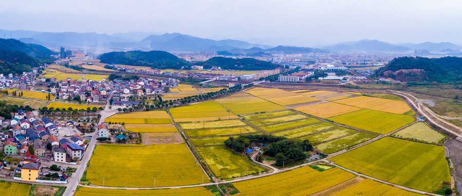 美麗新農村建設