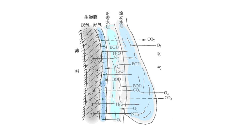 鄉鎮生活污水處理-生物膜處理法示意圖