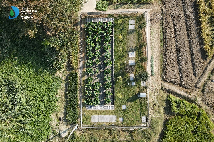 農村一體化污水處理設備站區